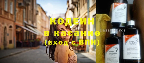 шишки Балабаново