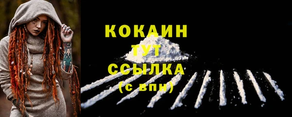 крисы Баксан