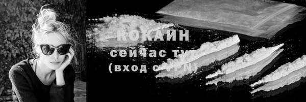 крисы Баксан