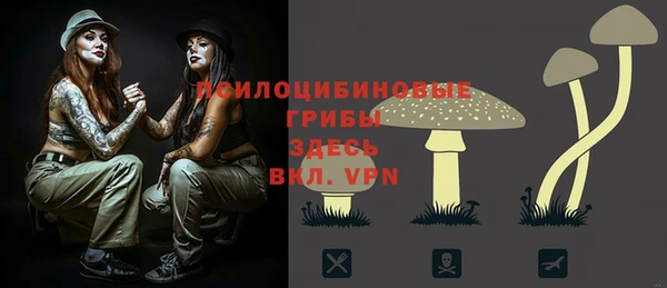 шишки Балабаново