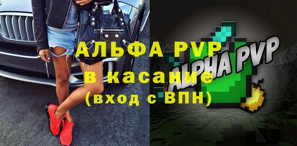 крисы Баксан