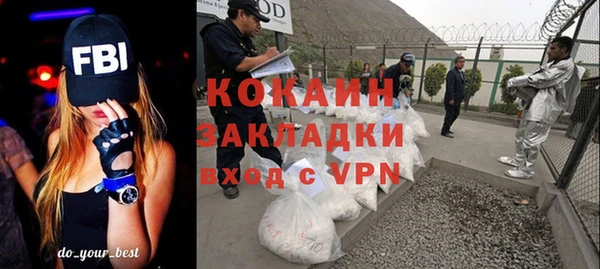 крисы Баксан
