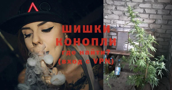 шишки Балабаново