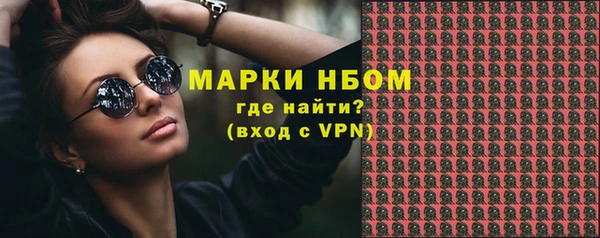 крисы Баксан