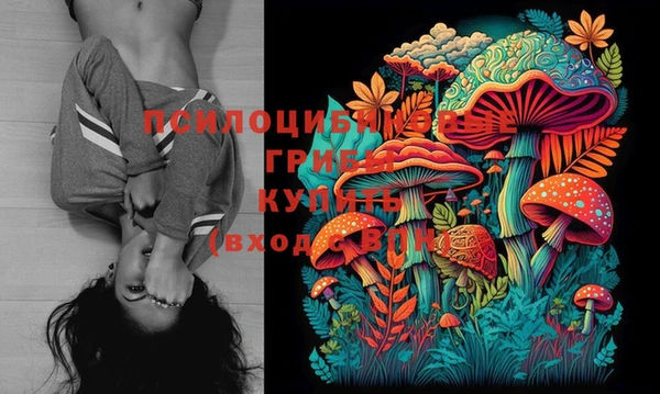 шишки Балабаново