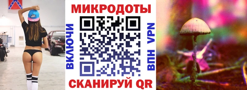 где купить Рудня Галлюциногенные грибы GOLDEN TEACHER